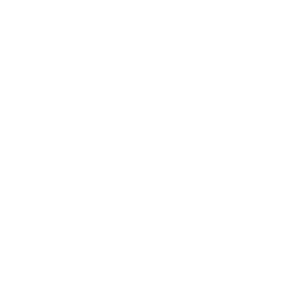 PN-Logo weiß